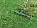 Verticuteren - Hoe en wanneer moet je het gras verticuteren?